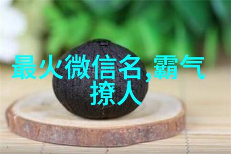 机器的铁脊托辊在现代工业中的应用与发展