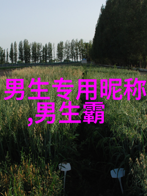 爱的化身探索充满爱意昵称背后的故事与文化
