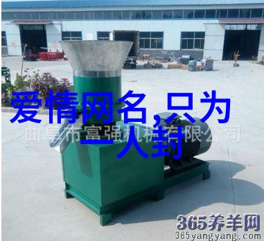 男人味十足网名四字成熟男孩网络昵称