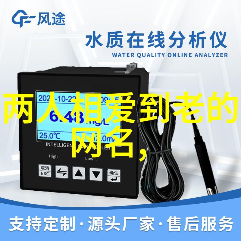 爱无国界探索不同文化中的情侣网名奇妙世界