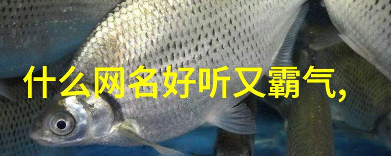 心碎的网名-虚拟世界中的痛苦追溯那些被遗忘的心碎网名