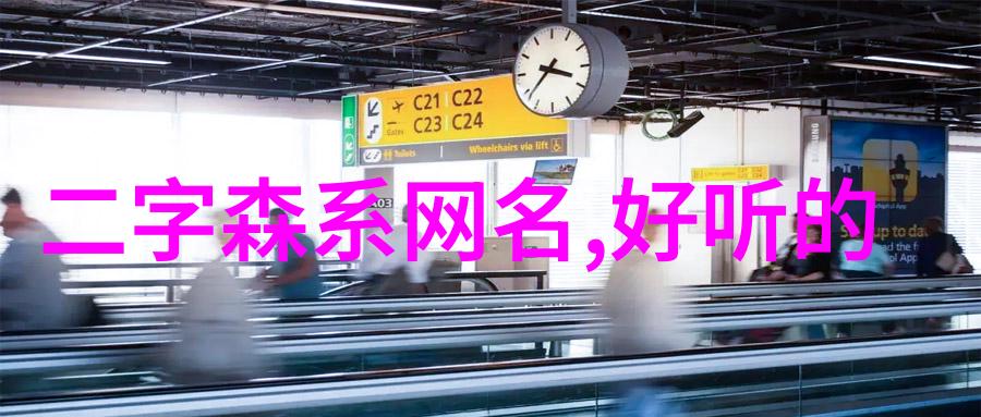 好听唯美网名选购指南精选二字佳句