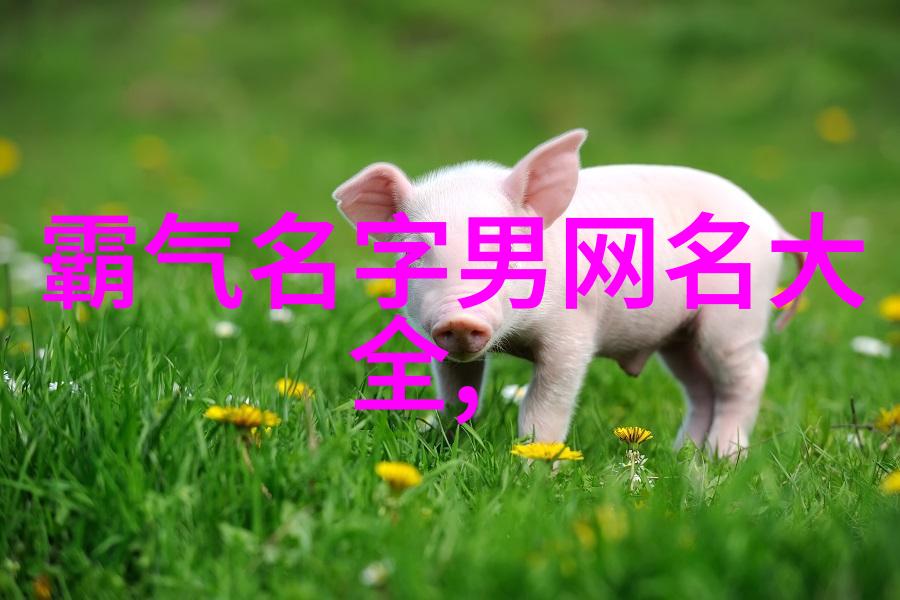 2017流行女生微博昵称古韵文艺风格如失去宠爱的猫儿