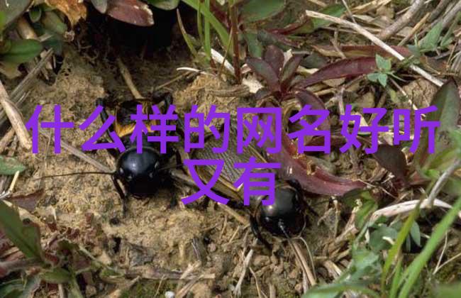 金刚杵大战肉莲花视频摘要