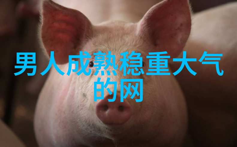 心之独钟时光与影子的守护者