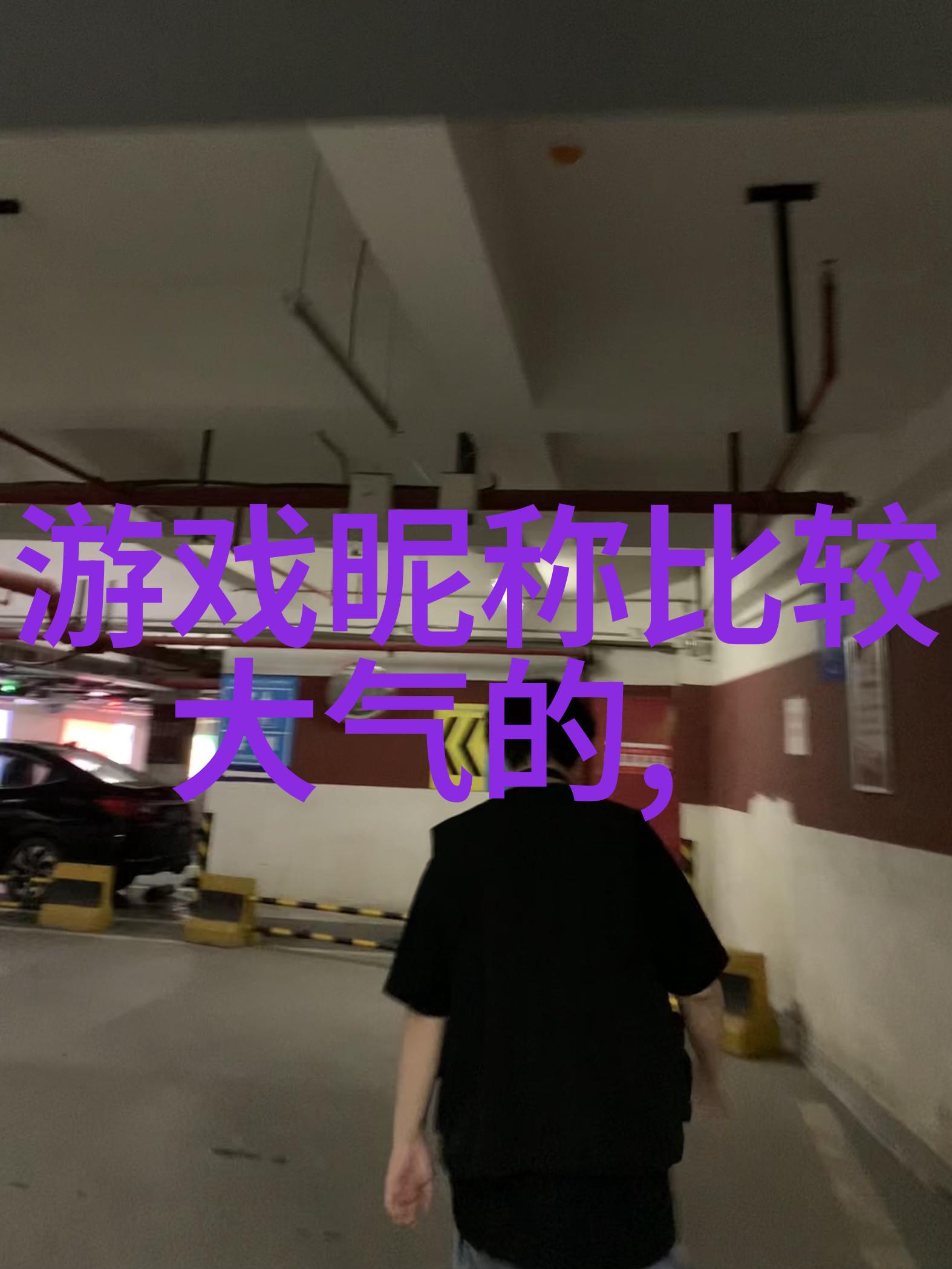 淡雅的网名我的隐私花园