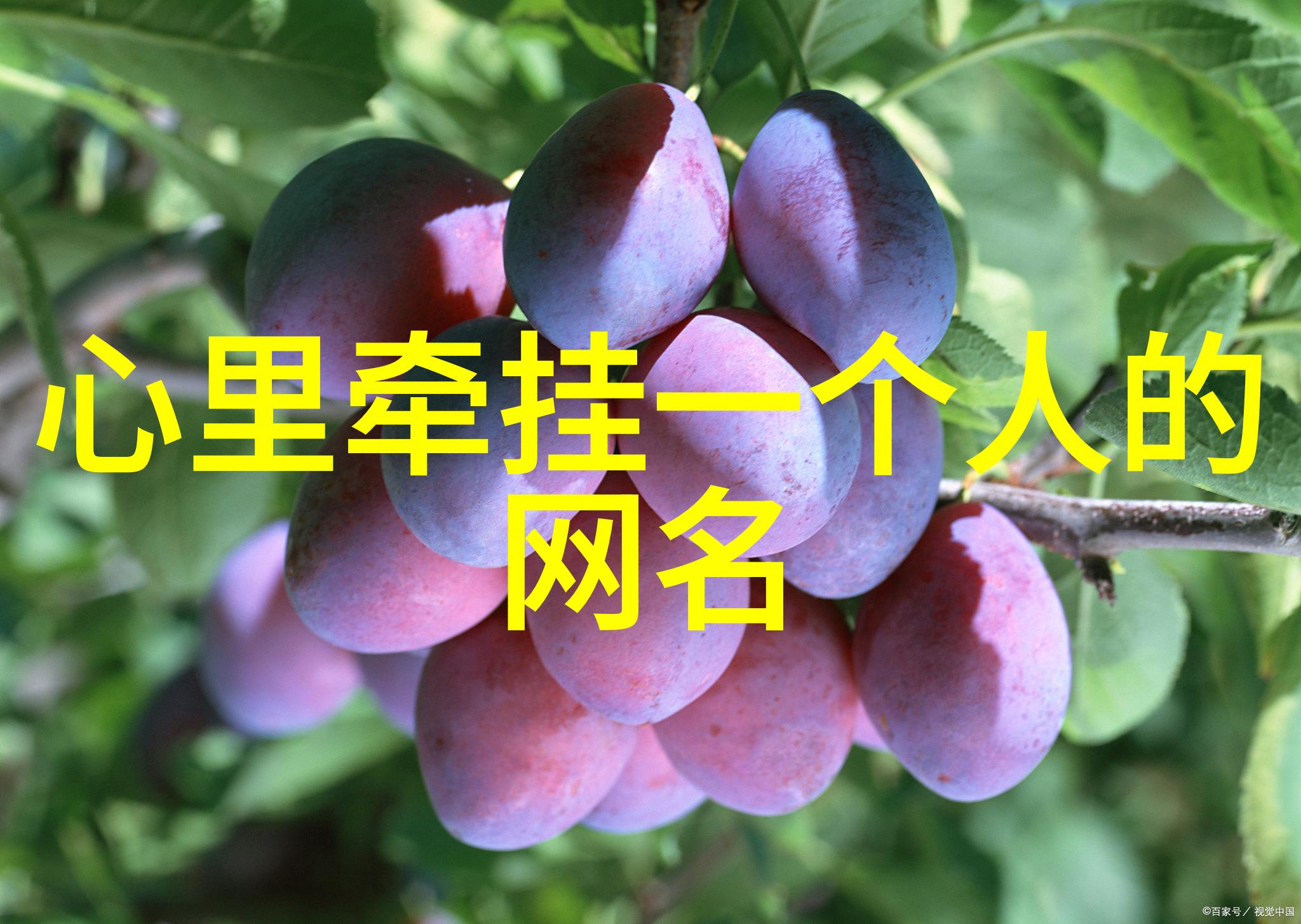 网名字大全霸气的男生 - 霸道风采一览最酷炫的网络男孩昵称