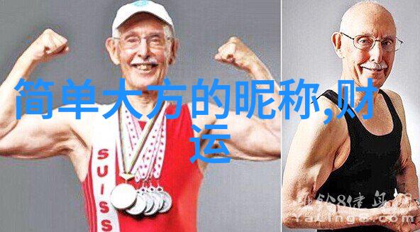 诗意游戏ID梦幻之城的守护者