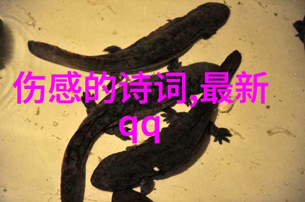 荒诞游戏世界寻找下一个疯狂的ID
