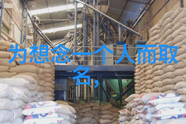 独具匠心的QQ个性空间网名探索个性与