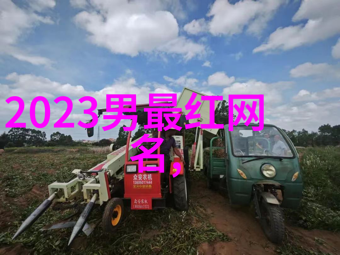 她是如何选择那一个简短好听的英文昵称成为了网络世界中的另一个神秘女孩