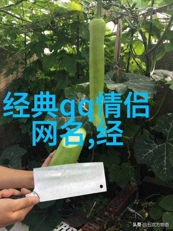 温暖萌宠创造呆萌可爱网名的艺术