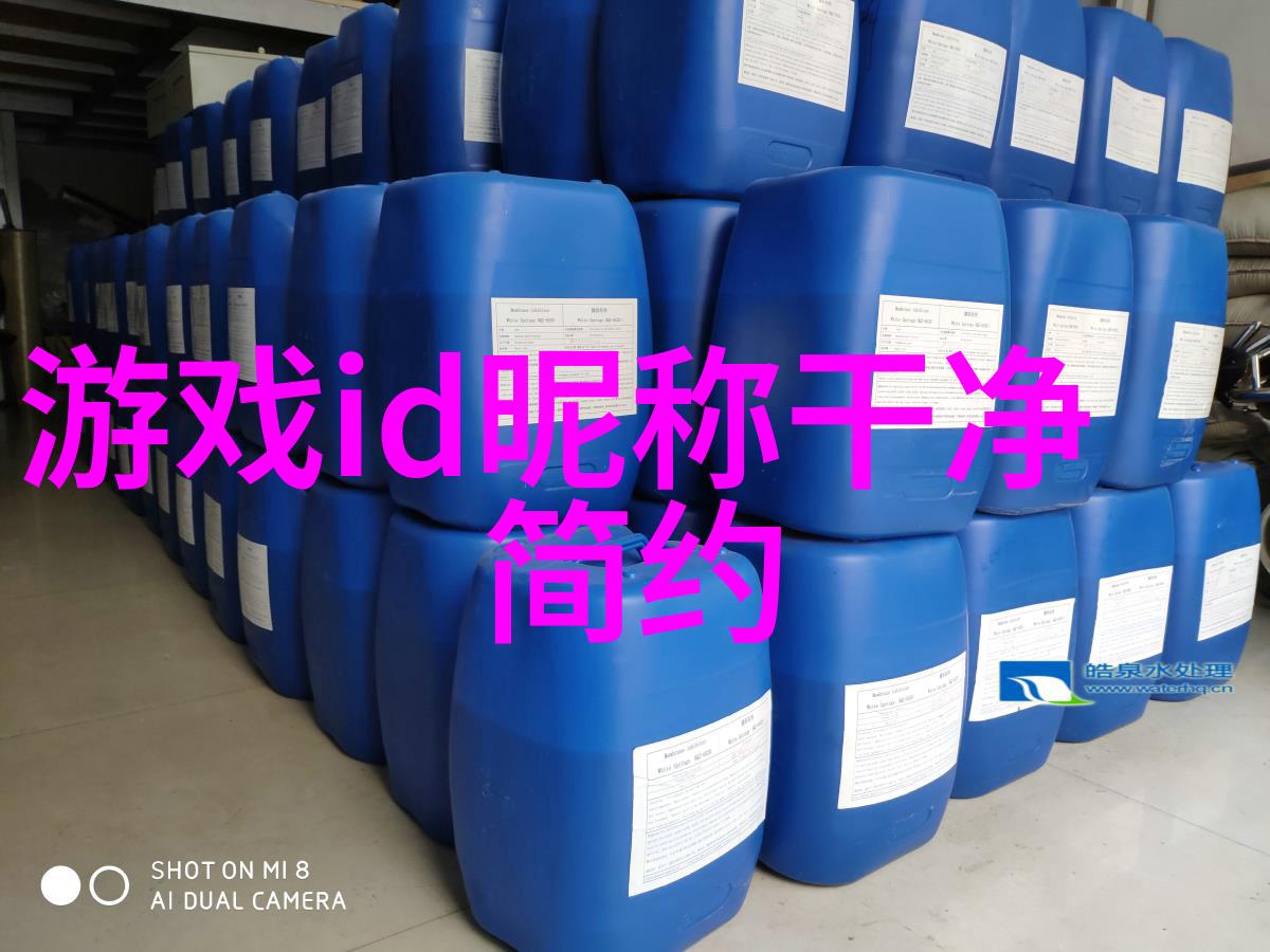 网名的魅力如何挑选一个既时尚又有个性的网络昵称