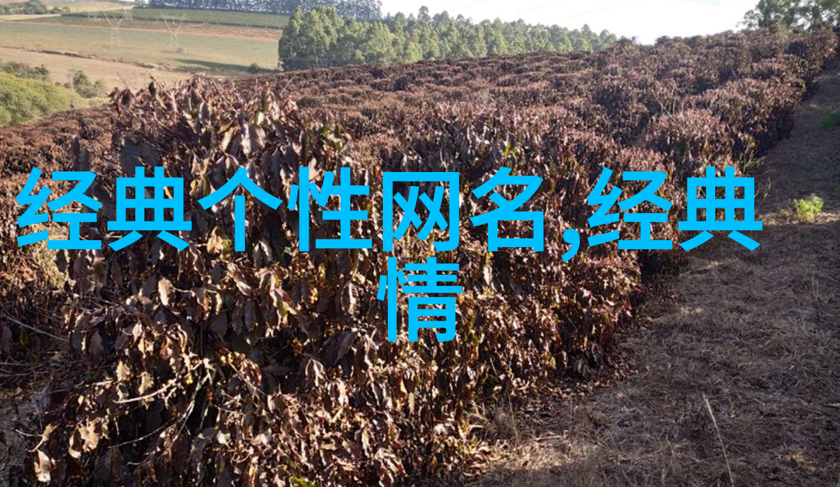 女孩简洁单一的名字 - 纯真时光浅谈女孩简洁单一名字的魅力