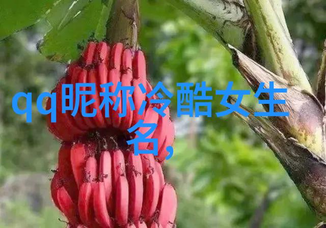 女孩高雅有涵养的名字英文-蕴含优雅与智慧探索理想女孩英文名字