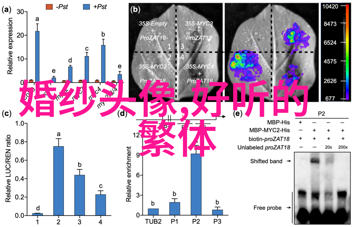 逆袭爱恋从网络角落到真实世界的温柔追逐