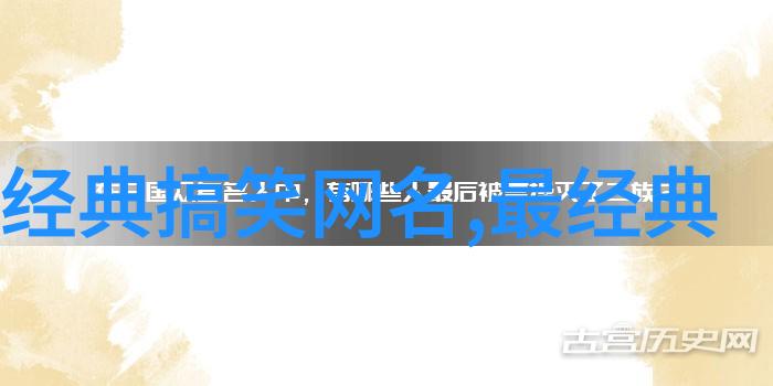 女名奇谭录揭秘那些让人捧腹的名字背后