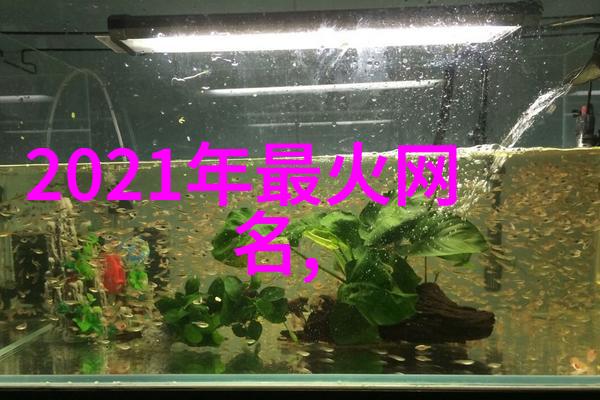 表达一生爱一人的网名-永恒的痕迹追忆那些心之所系的网络昵称