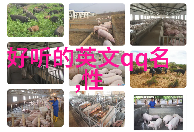 新生儿取名打分测试打分-宝宝名字评选大赛揭秘新生儿取名打分系统的神秘面纱
