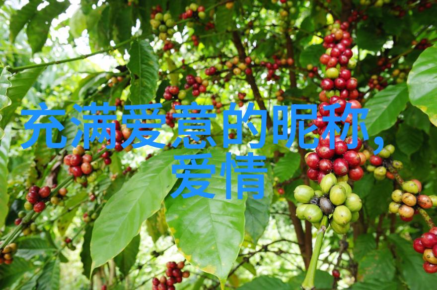 女孩起名选择完美的名字