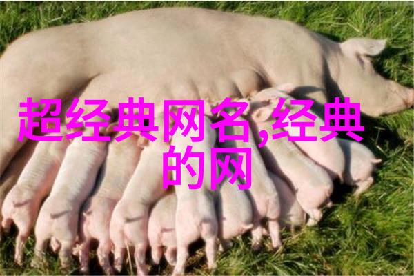 游戏霸气网名的艺术探究