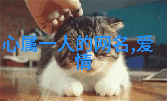 富贵名相赋予命运的金钥匙