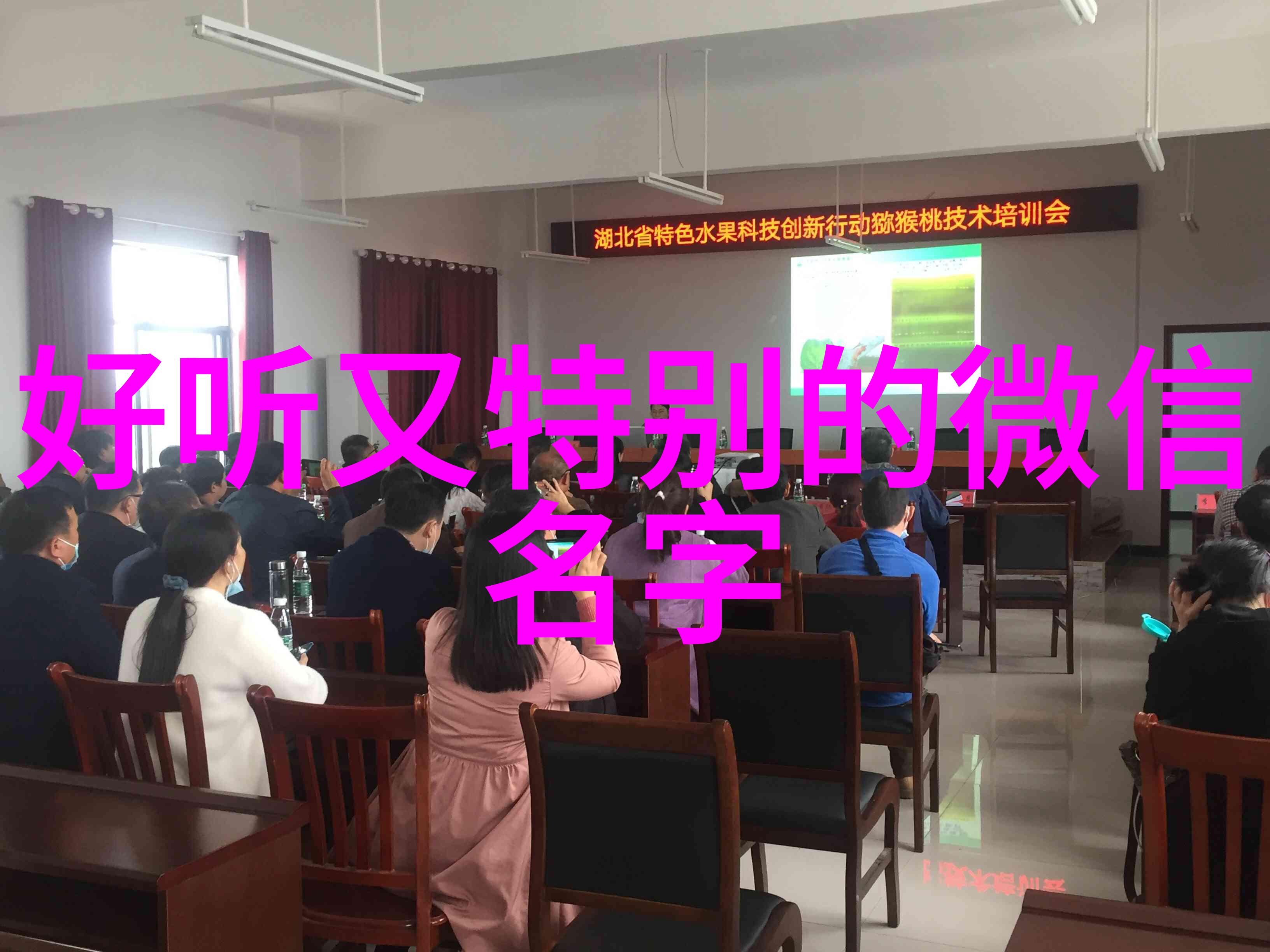 阳光励志的昵称女活出自己的风采