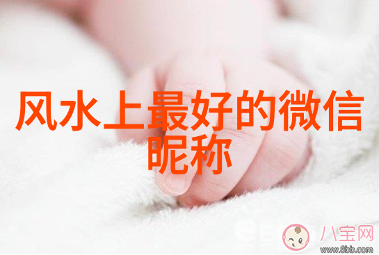 小众的二字id我是萌宝这两字下的小众网红