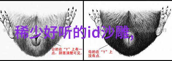 悦目而不喧嚣揭秘那些优雅命名者的艺术秘密