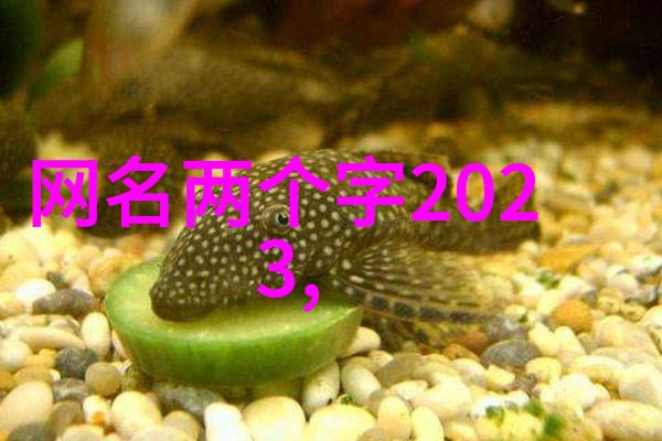 深邃网域探索有深度有涵养的网络化身