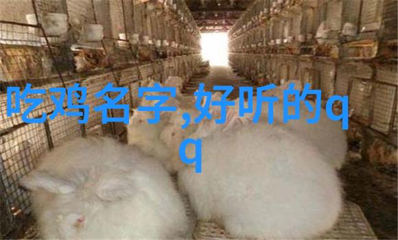 文采飘逸的网络世界巧雅网名的魅力探秘