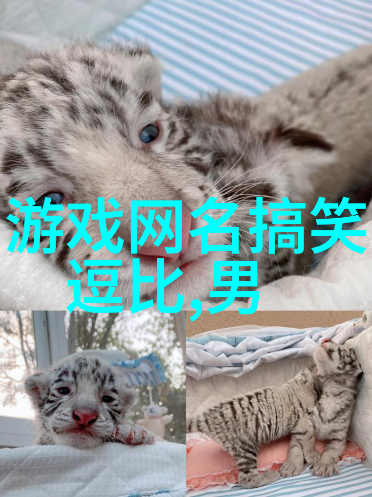 有文采典故的女孩名字诗经咏小雅寻觅那些诗韵里的美丽名字