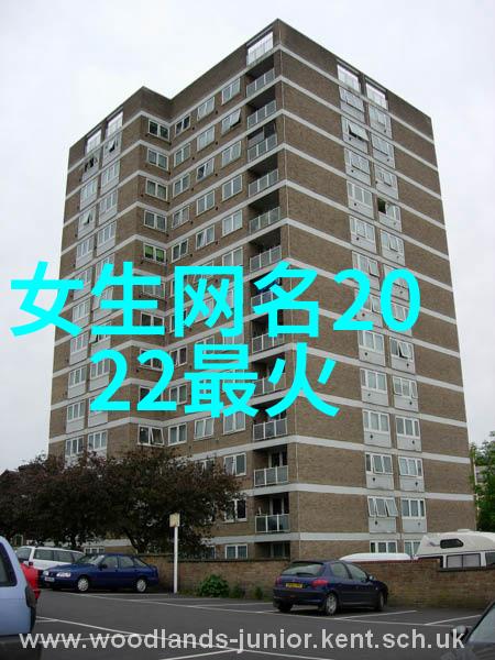 为思念之人绽放的落叶花落若不离