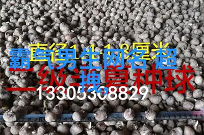 清风明月爱情之韵