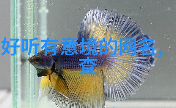 古典韵味满分的女孩名字诗经诗意悠长的中文名字