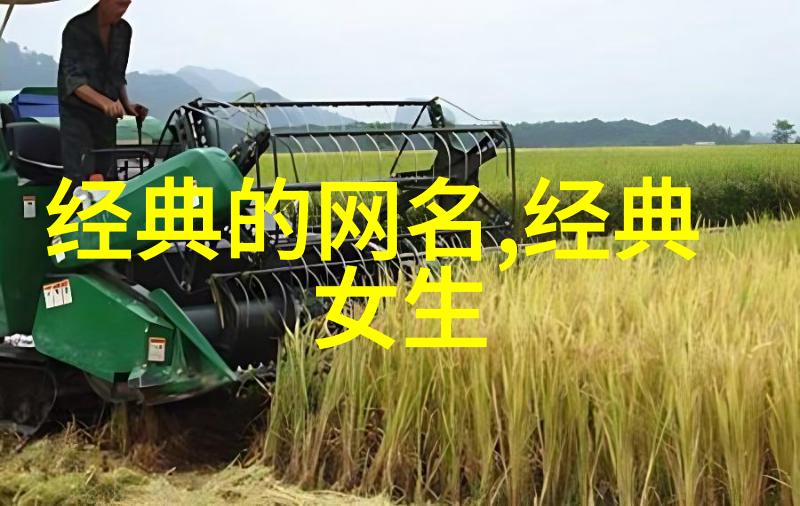 个性伤感网名我的虚拟世界一个被情绪困扰的少年的心声