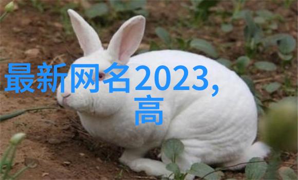 微信昵称风云捕捉心灵的旋律与诗意