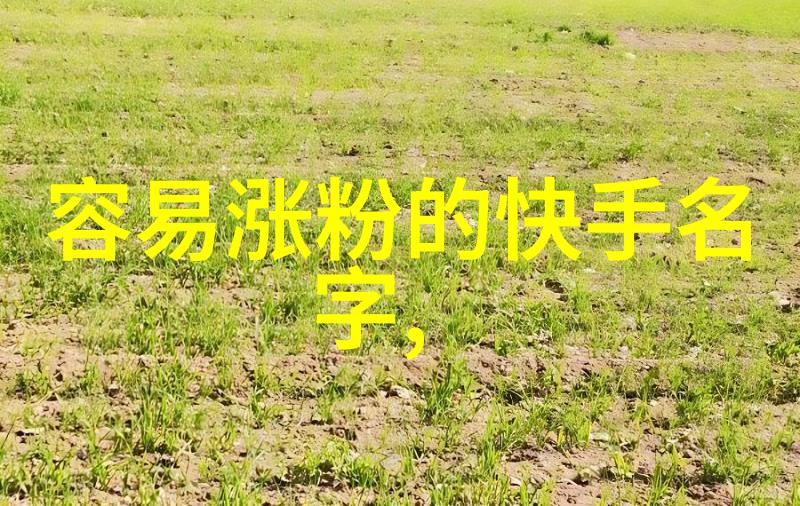 字语巧妙探索四字经典网名的魅力与创意