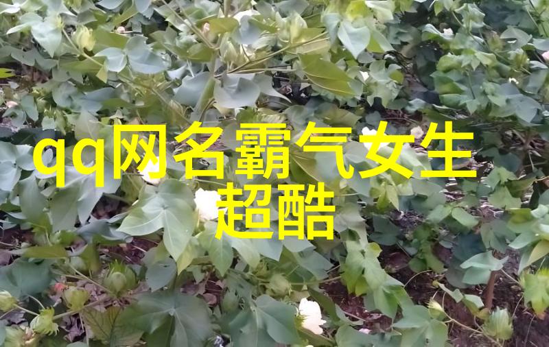 绽放的花名诗意女孩的迷人魅力