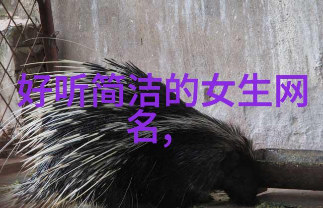 低温冷水机我的冬日救星
