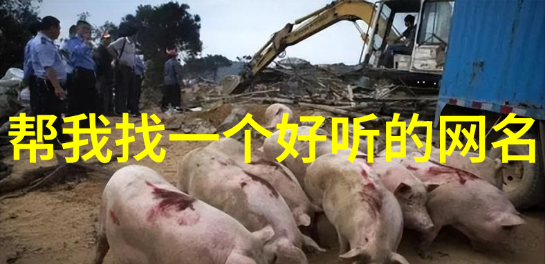 情侣网名霸气恩爱4个字我俩的网络恋爱故事从傲娇小王子到甜蜜暴走族