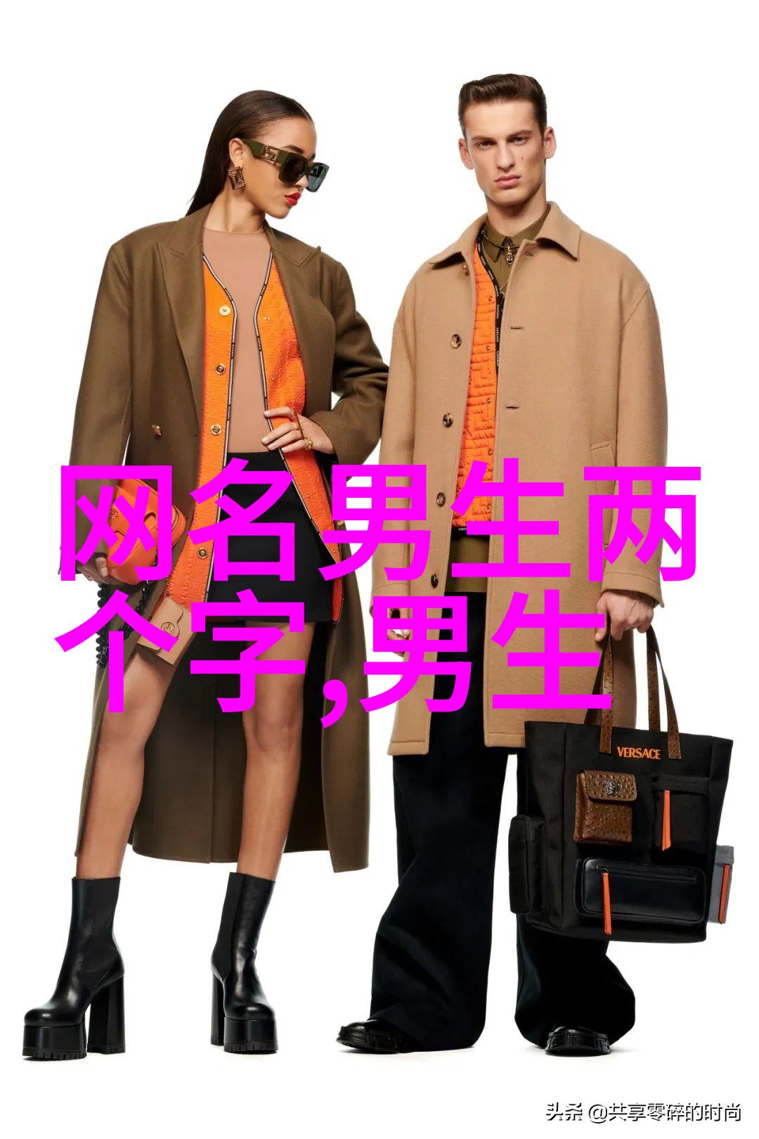 探究网络中的现代爱情诗人以网名为例