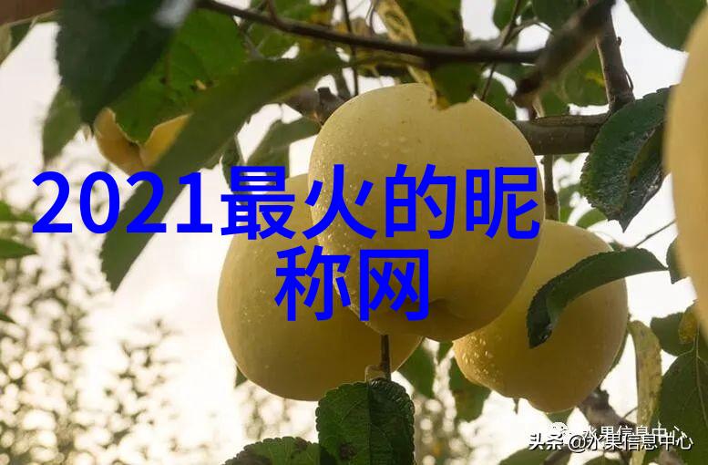 稀缺数字的双重魅力探索独特ID背后的文化与技术