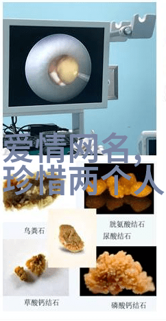 森系清新女神蕾妮的简约小清新淘宝世界