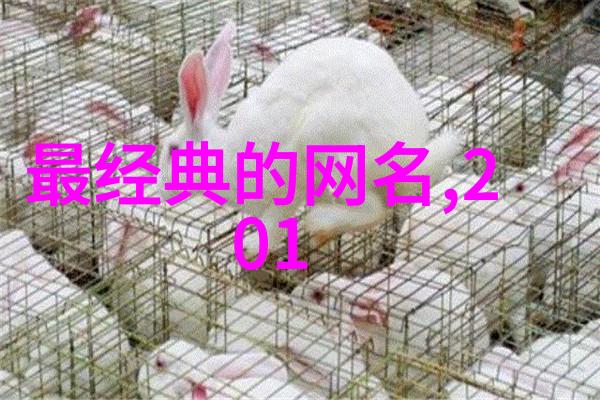 网名之美精选好听的女生昵称灵感