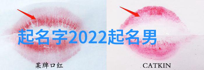 液压打包机的舞动力量与精密的交响