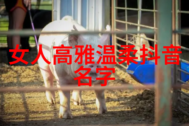情侣CP-甜蜜约会有趣情侣CP昵称的创意之旅