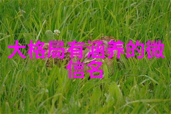 编织网络辉煌好听有文采的网名艺术探究