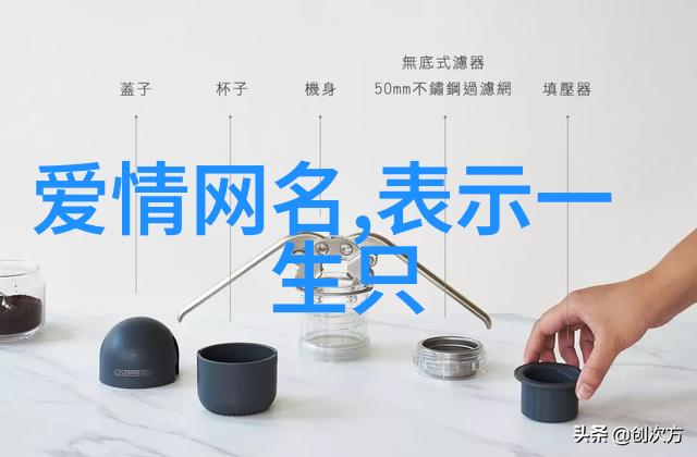 神秘宝藏寻找者探险奇遇