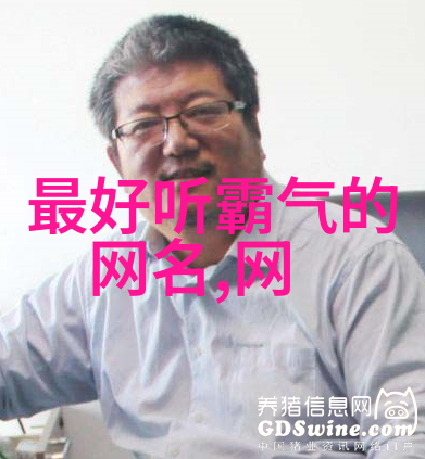 虚拟世界中的文学之旅追寻那些有着深意佳音的网名